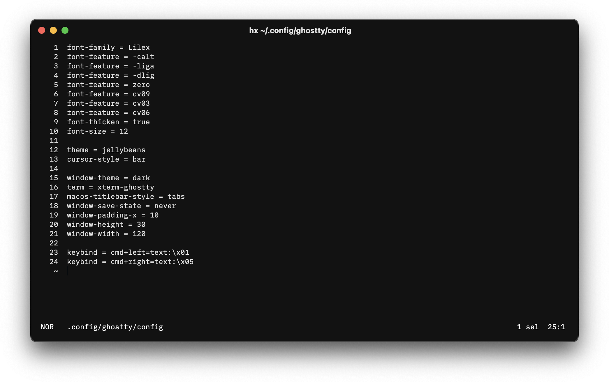 screenshot of the terminal’s config format