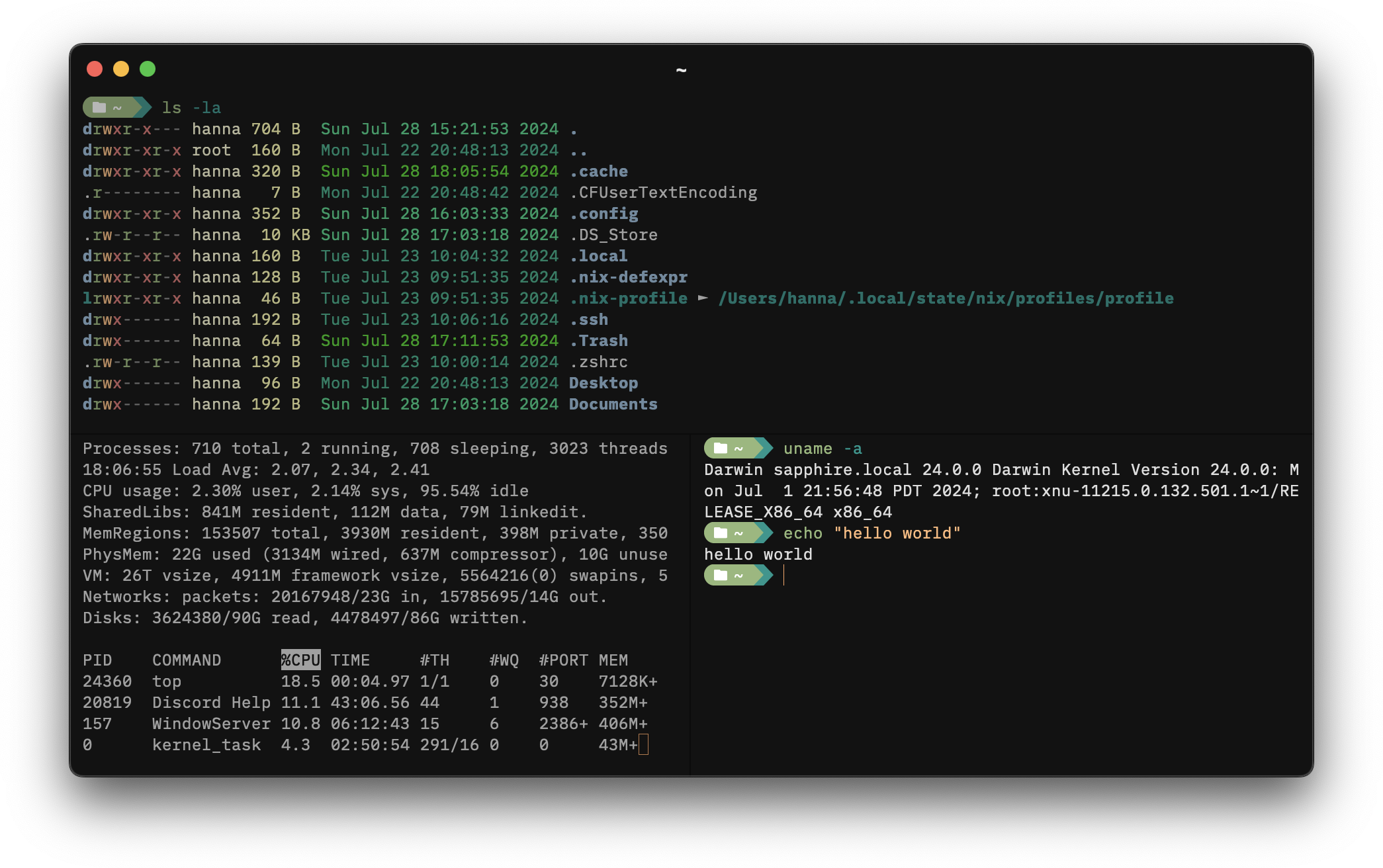 screenshot showing the split terminal panes